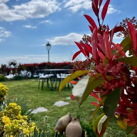 Il Giardino Di Rosa *